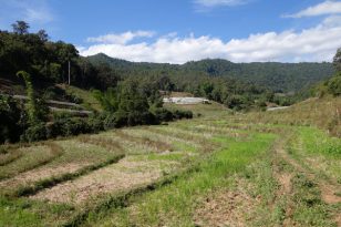 Ausflug Doi-Inthanon-Nationalpark Karen-Village-2