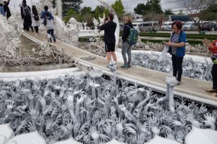 Ausflug weißer-Tempel-2