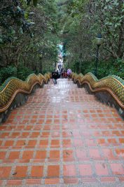Doi-Suthep-Nationalpark Tempel-6