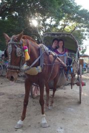 ausflug-mandalay-inwa-pferdekutsche
