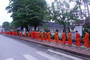 Luang-Prabang-Mönche-am-Morgen-Tak-Bat-Alomsenprozedur-2