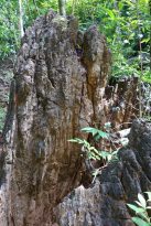 Langkawi-Tour-Dayang-Bunting-Marble-Geoforest-Park-2