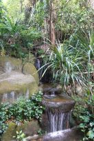 Singapur-Sehenswürdigkeiten-Sentosa-Island-Freizeitpark-Nature-Walk-2