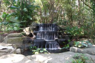 Singapur-Sehenswürdigkeiten-Sentosa-Island-Freizeitpark-Nature-Walk-3