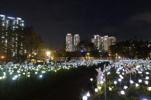 Busan-Sehenswürdigkeiten-Busan-Citizen-Park-1