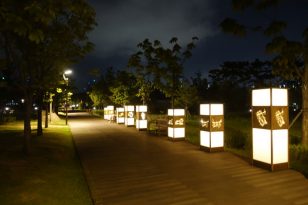 Busan-Sehenswürdigkeiten-Busan-Citizen-Park-3