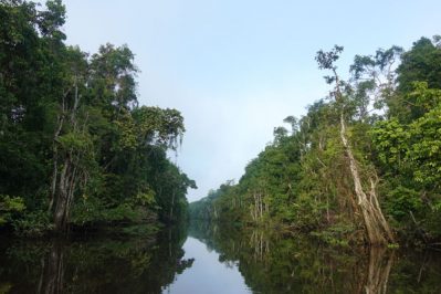 Kinabatangan-River-Tour-Sabah-Morning-Cruise-8