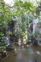 Taichung-Sehenswürdigkeiten-Botanical-Garden-2