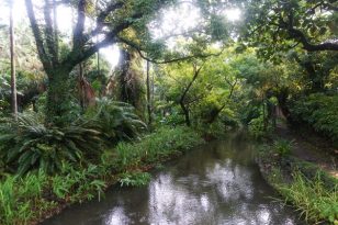 Taipei-Sehenswürdigkeiten-Botanical-Garden-3