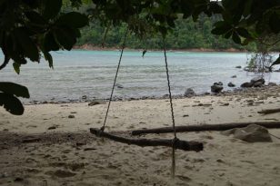 Kota-Kinabalu-Sehenswürdigkeiten-KK-Sapi-Island-Tagesausflug-Trail-1