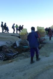 Bergarbeiter-Tour-Mount-Ijen-6